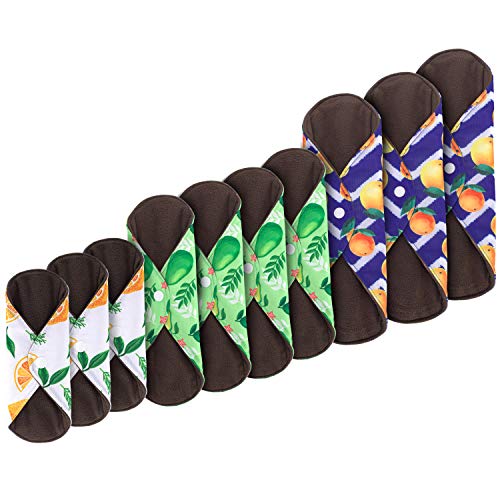Teamoy 10pcs Cloth Panty Liners, Reusable Sanitary Pads with Wet Bag, Washable Cloth Menstrual Pads Teamoy