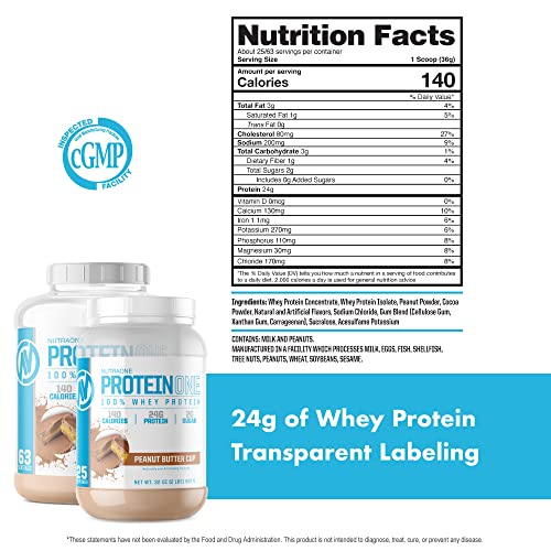 NutraOne ProteinOne Whey Protein Promote Recovery and Build Muscle with a Protein NutraOne