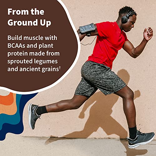 Garden of Life Vegan Protein Powder - 22g Raw Plant Protein, BCAAs, Probiotics Garden of Life