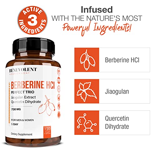 Premium Berberine HCL 730mg - 120 VCAPS Perfect Trio Complex with Non-GMO Jiaogulan Benevolent Nourishment