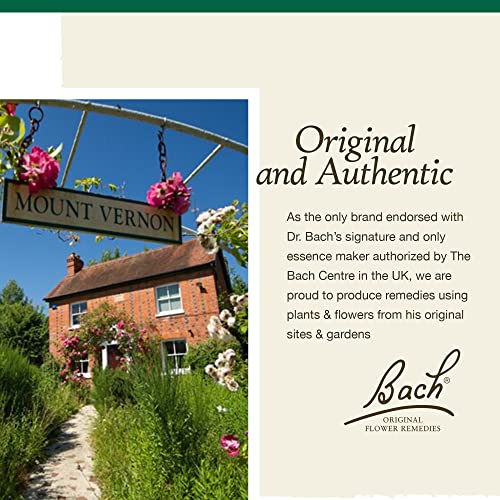 Bach Original Flower Remedies, Walnut for Adapting to Change (Non-Alcohol Formula) Bach