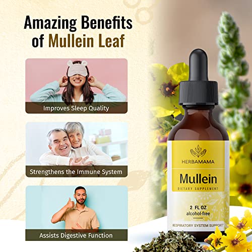 Mullein Leaf Tincture - Lung Cleanse - Vegan Lung Detox - Respiratory Health HERBAMAMA