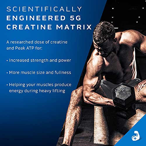 Creatine Powder | MuscleTech Cell-Tech Elite Creatine Powder | Post Workout Recovery MuscleTech