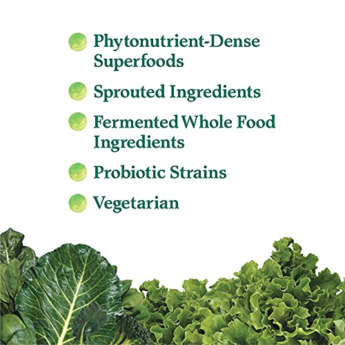 Garden of Life Perfect Food Super Green Formula - 14 Servings | 45 Superfoods, Greens Garden of Life