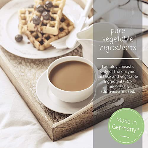 LactoJoy Lactase Pills I 240 Pieces Refill Package I Powerful Lactase Enzymes for Lactose LactoJoy