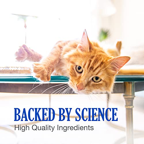 Nutramax Cobalequin B12 Supplement for Cats and Small Dogs, 45 Count (Pack of 1) Nutramax Laboratories