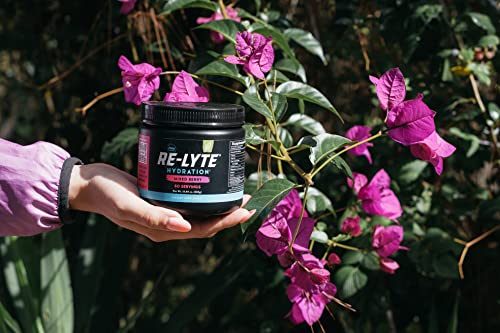 REDMOND Re-Lyte Hydration Electrolyte Mix (Mixed Berry) REDMOND