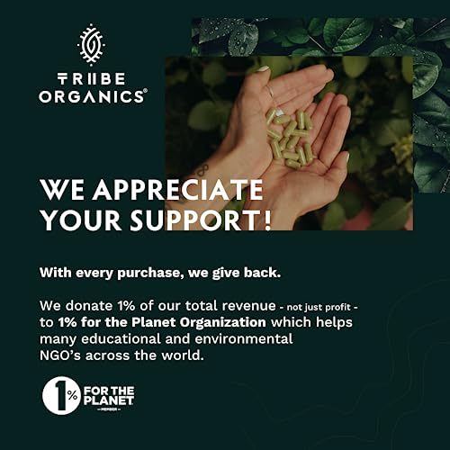 TRIBE ORGANICS Vegan Ashwagandha KSM 66 Pure Organic Root Powder Extract Ayurvedi TRIBE ORGANICS