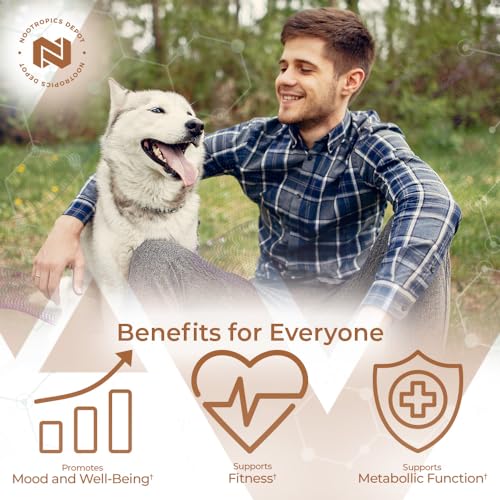 Nootropics Depot Fenugreek Extract Capsules | 500mg | 60 ct | 2.5% Trigonelline Nootropics Depot