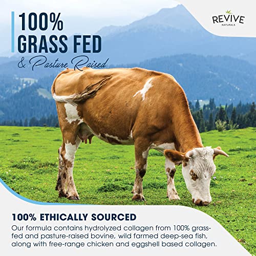 Multi Collagen Protein Capsules - Types I, II, III, V & X - Hydrolysed Grass Fed Bovine, Wild Caught Marine Revive Naturals