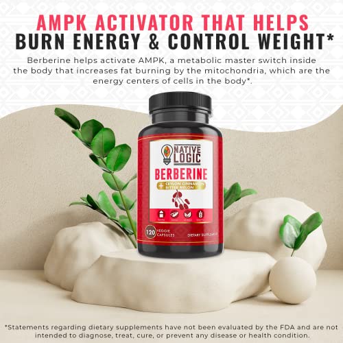 Native Logic Berberine HCL 1200mg with Ceylon Cinnamon, Bitter Melon, and Green Tea Native Logic