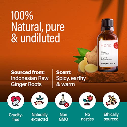 H’ana Pure Ginger Oil for Belly Fat & Pain - 100% Natural Therapeutic Grade Ginger Essentia