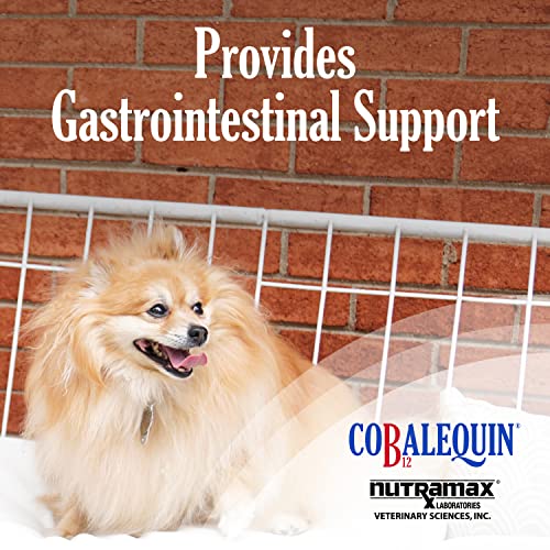 Nutramax Cobalequin B12 Supplement for Cats and Small Dogs, 45 Count (Pack of 1) Nutramax Laboratories