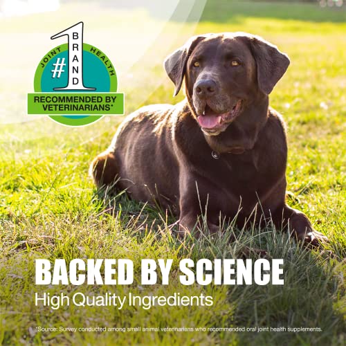 Nutramax Laboratories Dasuquin with MSM Joint Health Supplement for Large Dogs Nutramax Laboratories