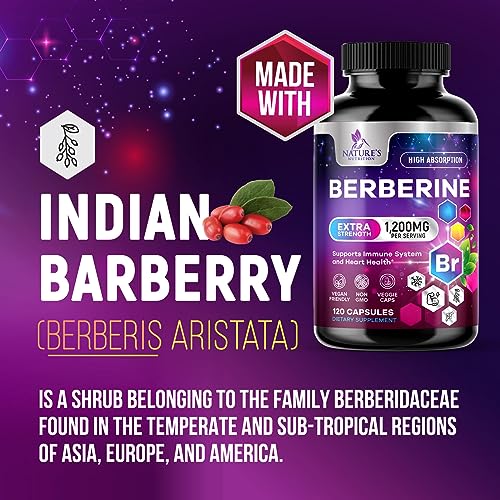 Berberine Supplement 1200mg per Serving - High Absorption Heart Health Support Nature's Nutrition