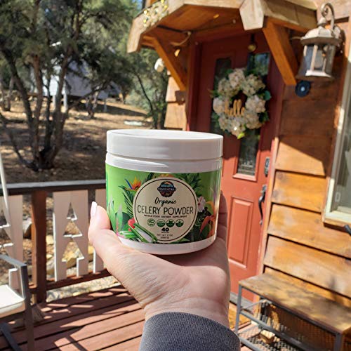 Organic Celery Juice Powder (40 Servings) Supports Gut Health, Detox Juice Cleanse Paradise Naturals, Purest Ingredients from the Source