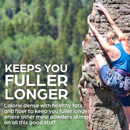 Orgain Organic Perfect Meal Replacement Protein Powder, Vanilla - 25g Plant Based Protein Orgain