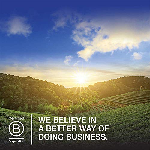 Garden of Life Organic Plant Protein Smooth Coffee Powder, 10 Servings - Vegan Garden of Life