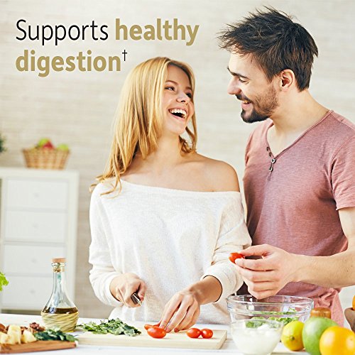 Garden of Life Dr Formulated Organic Fiber Supplement Powder Unflavored, Sugar Free Garden of Life