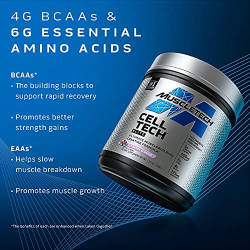 Creatine Powder | MuscleTech Cell-Tech Elite Creatine Powder | Post Workout Recovery MuscleTech