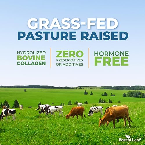 ForestLeaf Multi Collagen Pills with Hyaluronic Acid + Vitamin C, 120 Caps