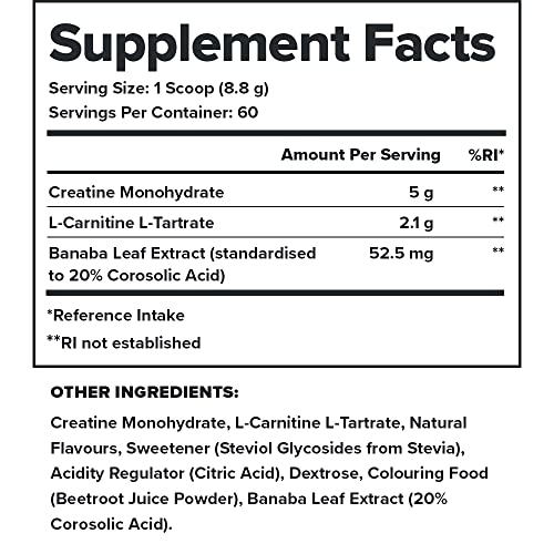 Legion Recharge Post Workout Supplement - All Natural Muscle Builder & Recovery Drink Legion