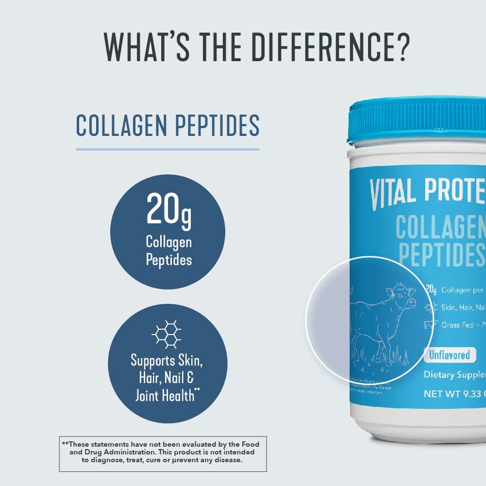 Vital Proteins Collagen Peptides Powder Supplement (Type I, III) - Hydrolyzed Collagen VITAL PROTEINS