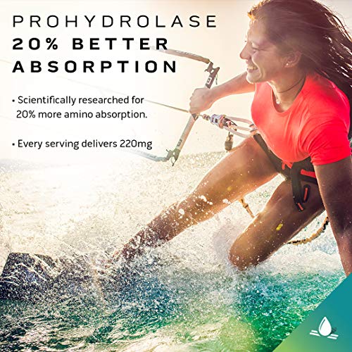 MuscleTech Creatine + Whey Protein Isolate Bundle Platinum Creatine Iso Whey Clear MuscleTech