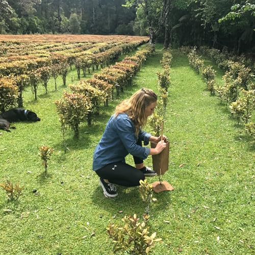 Kolorex Gut Care Candida Balance (Advanced Candida Care) 30ct Kolorex