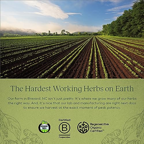 Gaia Herbs Turmeric Supreme Joint Health - Joint Support Supplement