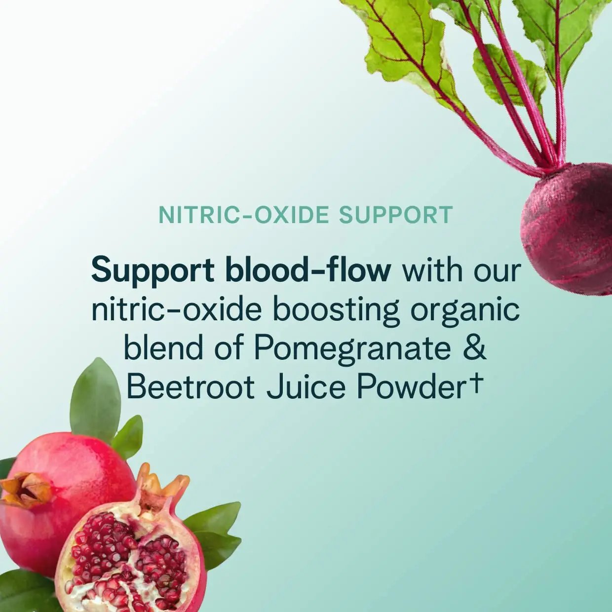 Ora Organic Natural Pre Workout Powder - Raspberry Lemonade Flavor- Provides Jitter Free Ora Organic