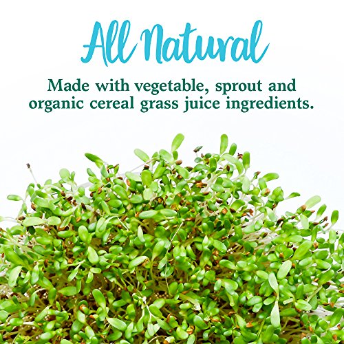 Garden of Life Perfect Food Super Green Formula - 14 Servings | 45 Superfoods, Greens Garden of Life