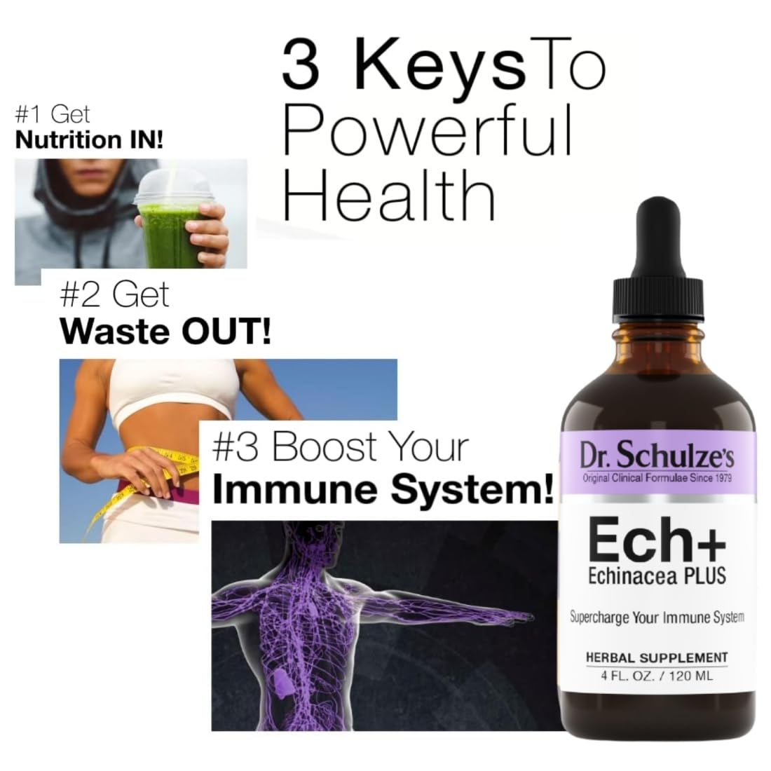 Dr. Schulze's Echinacea Plus | Echinacea Root and Seed | All Organic Extract | Gluten-Free Dr. Schulze's