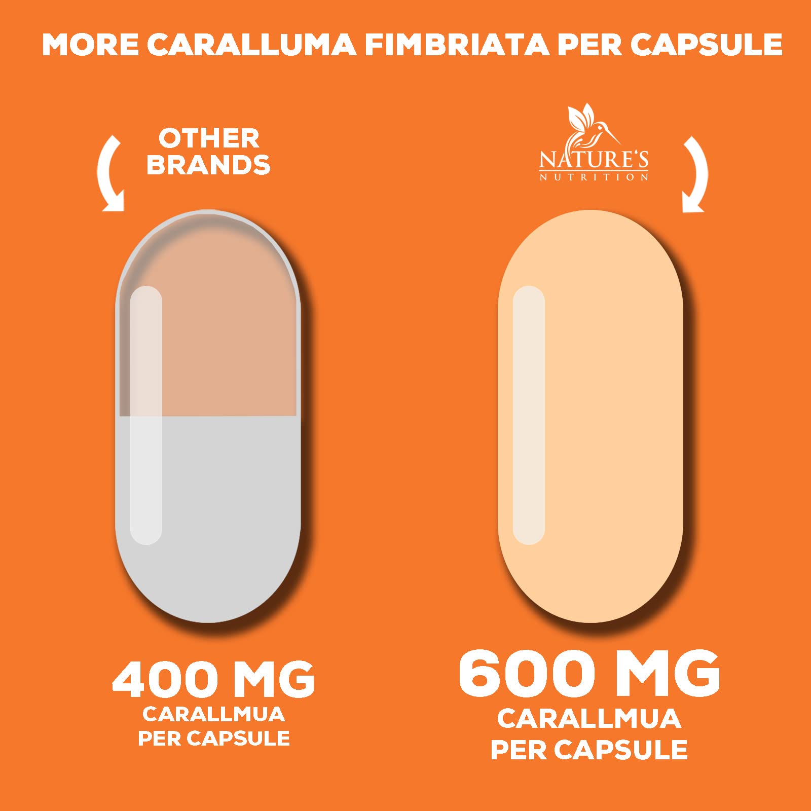 Pure Caralluma Fimbriata Extract Highly Concentrated 1200mg - Natural Endurance Support Nature's Nutrition