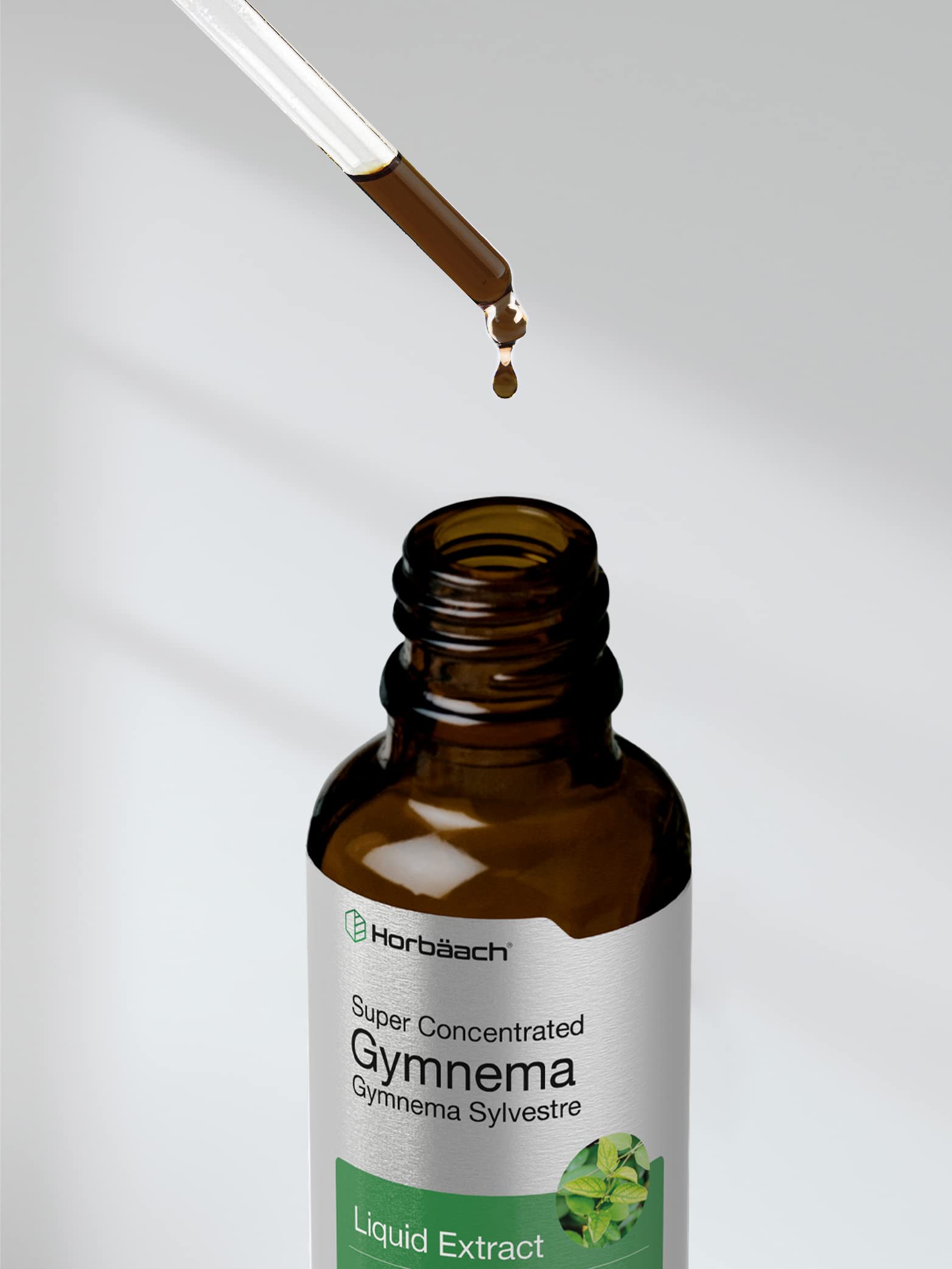 Gymnema Sylvestre Liquid | 2 fl oz | Alcohol Free Supplement | Super Concentrated Horbäach