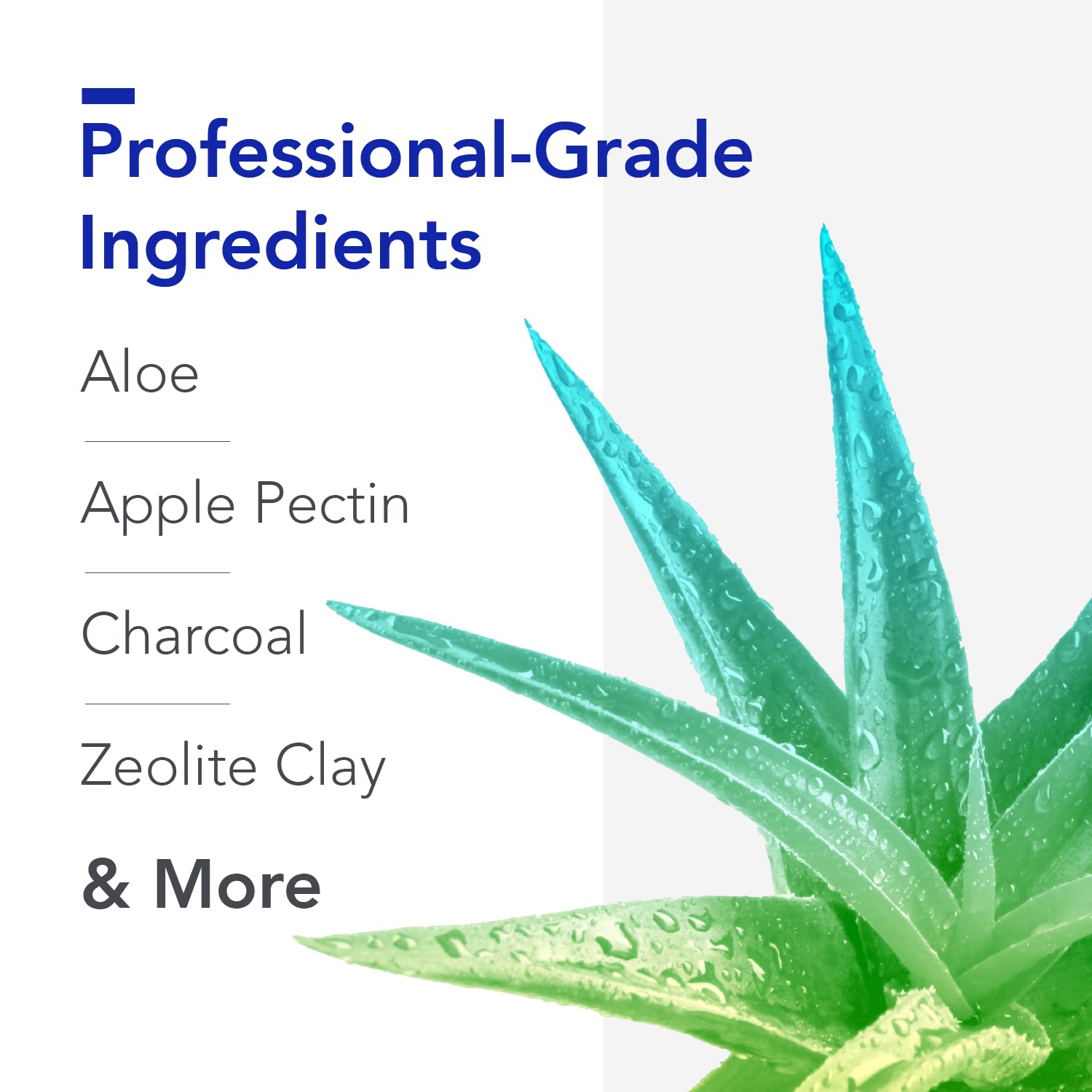 G.I. Detox+ Gentle Binder by Biocidin - Gut Health Intestinal Cleanse with Charcoal, Zeolite & Aloe Bio-Botanical Research