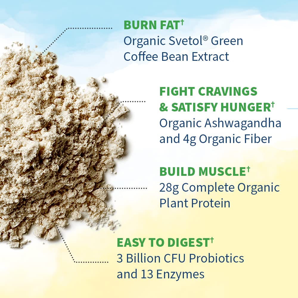 Garden of Life Raw Organic Fit Powder, Original - High Protein for Weight Loss (28g) Plus Garden of Life