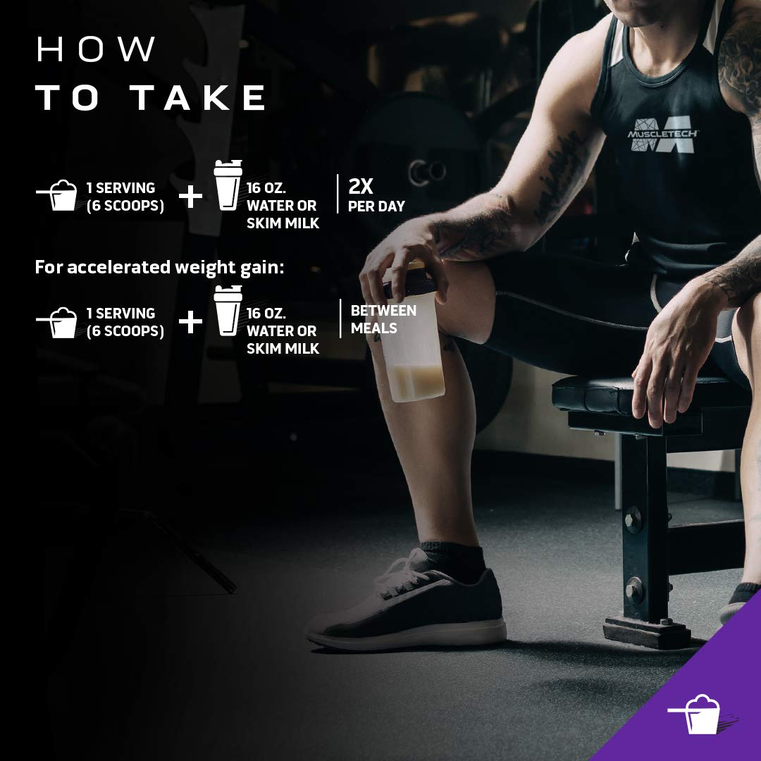 Mass Gainer MuscleTech 100% Mass Gainer Protein Powder Protein Powder for Muscle MuscleTech