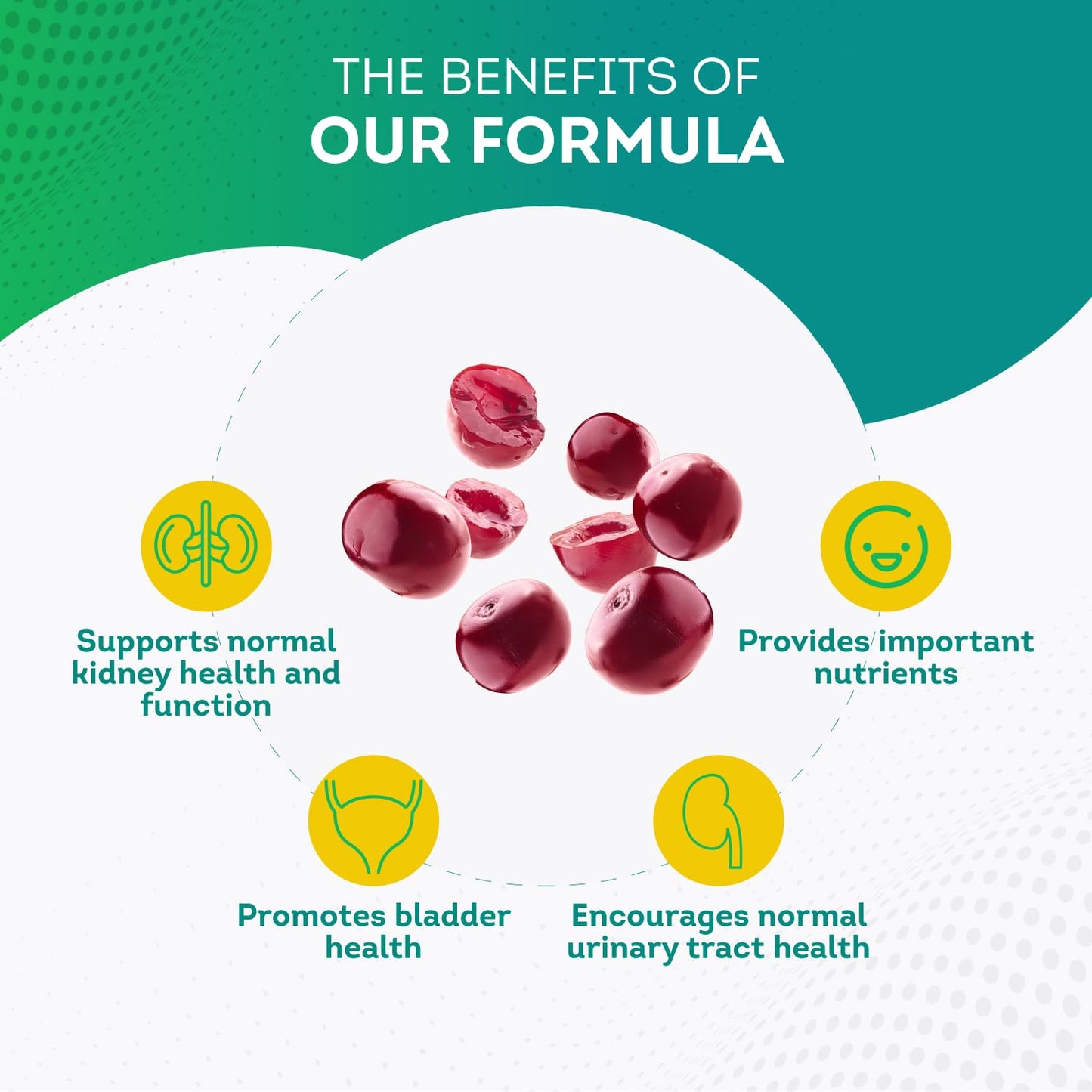PurePremium Kidney Support Supplement with Cranberry Extract - Kidney Cleanse, Detox