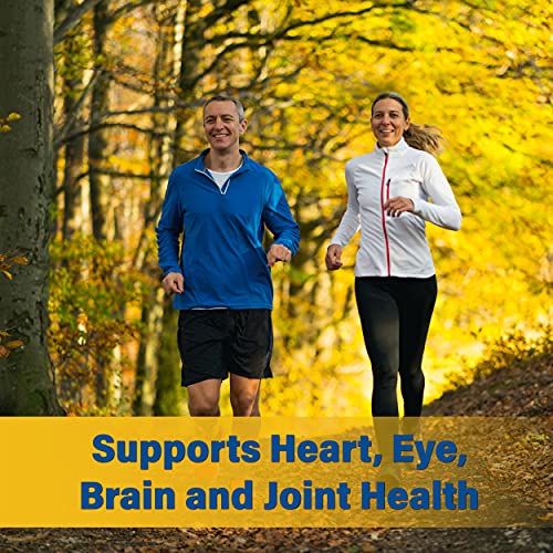 Burpless Fish Oil Pills. Triple Strength Omega 3 Fish Oil Burpless. EPA DHA Omega 3 Supplement Dr. Matthew