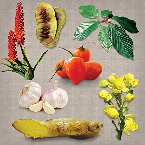 Dr. Schulze's Intestinal Formula #1 Colon Bowel Cleanse, 90 caps, 2 Count Dr. Schulze's