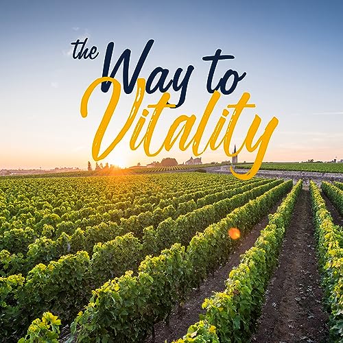 VITALITOWN Women's Probiotics 120 Billion CFUs 1 Daily, 30 Strains, with Prebiotics VITALITOWN