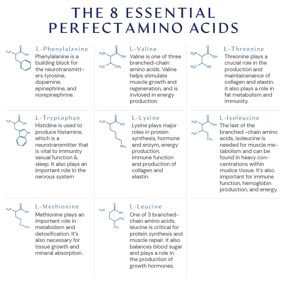 BodyHealth PerfectAmino (150 ct) Easy to Swallow Tablets, Essential Amino Acids Supplement BodyHealth