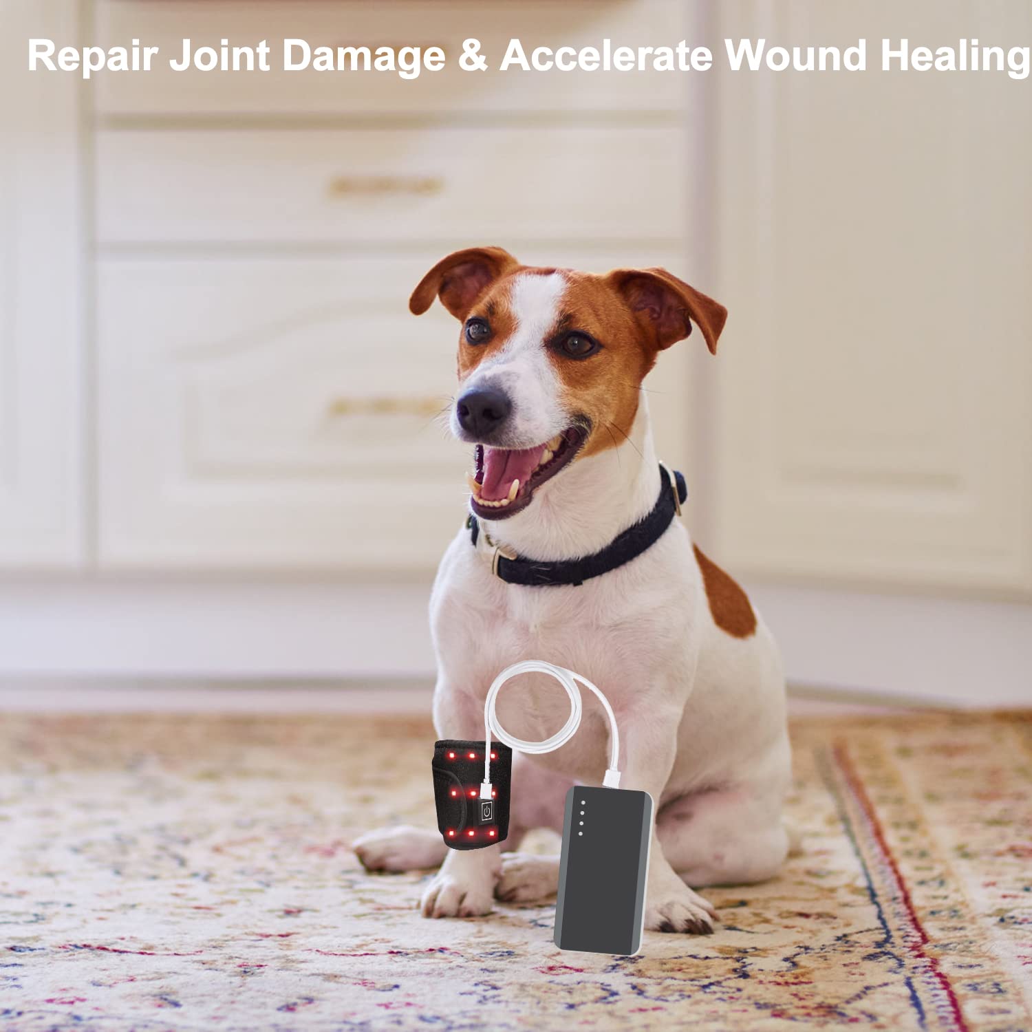 Red Light Therapy Belt for Neck, Infrared Light Therapy Flexible Wearable Wrap Pad LitePow