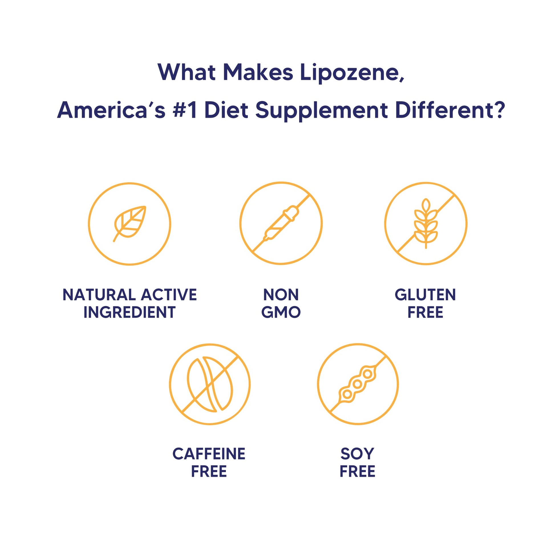 Lipozene Diet Pills - Weight Loss Supplement - Appetite Control - Two Bottles of 30 Capsules Lipozene