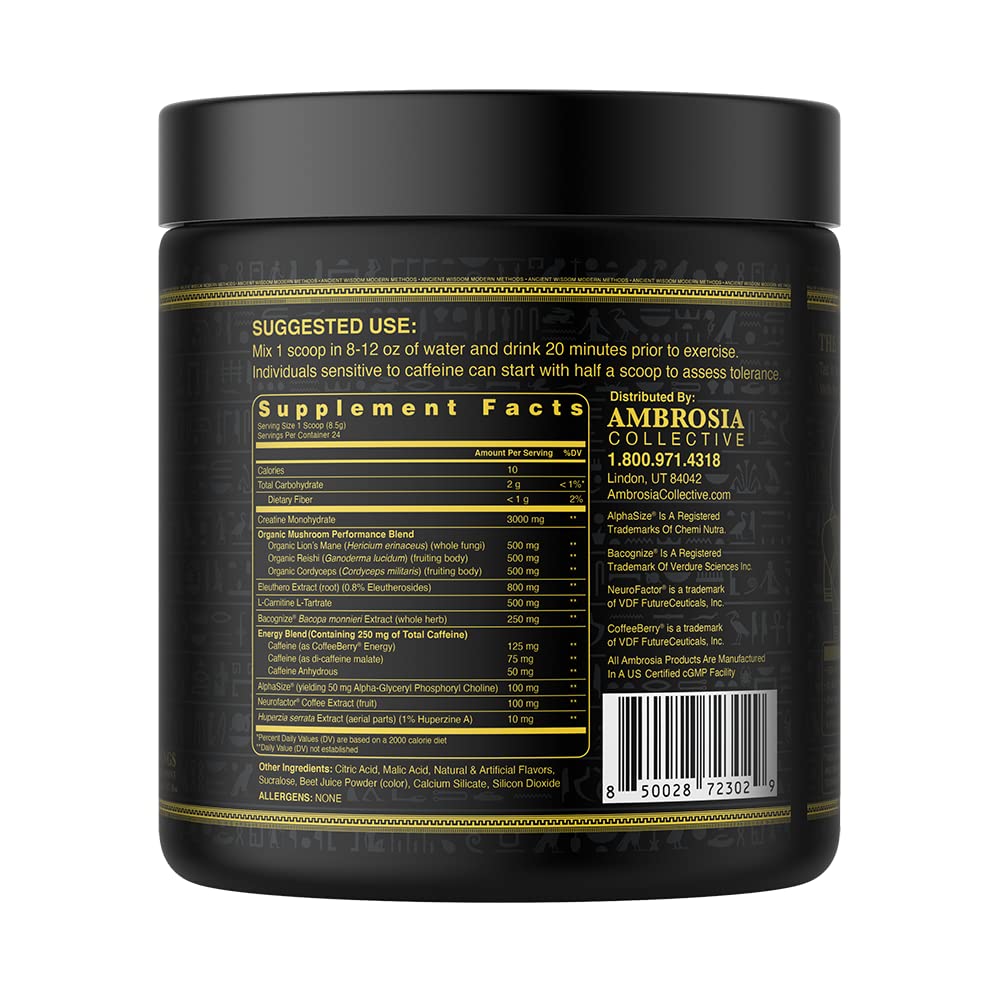 Ambrosia Kinetic Organic Preworkout, Mushroom Enhanced Natural Pre Workout Supplement Ambrosia