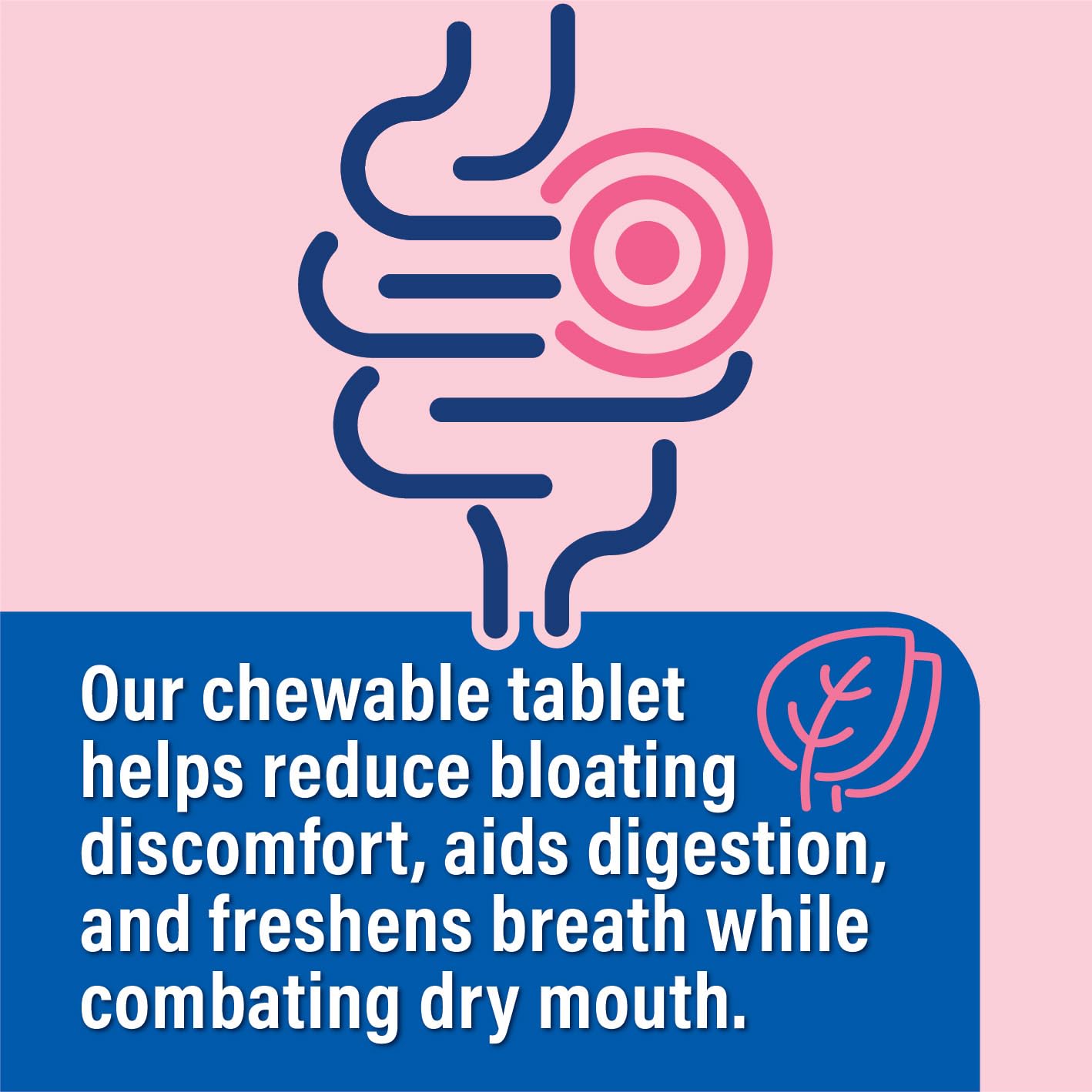 Probiotiv Chewable Probiotics for Daily Bloating w/ 5 Billion CFU – “Two-in-One Combo” Probiotiv