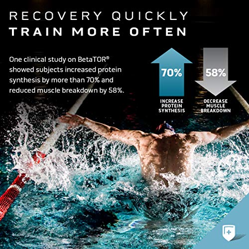 Muscle Recovery, MuscleTech Clear Muscle Post Workout Recovery, Muscle Builder MuscleTech