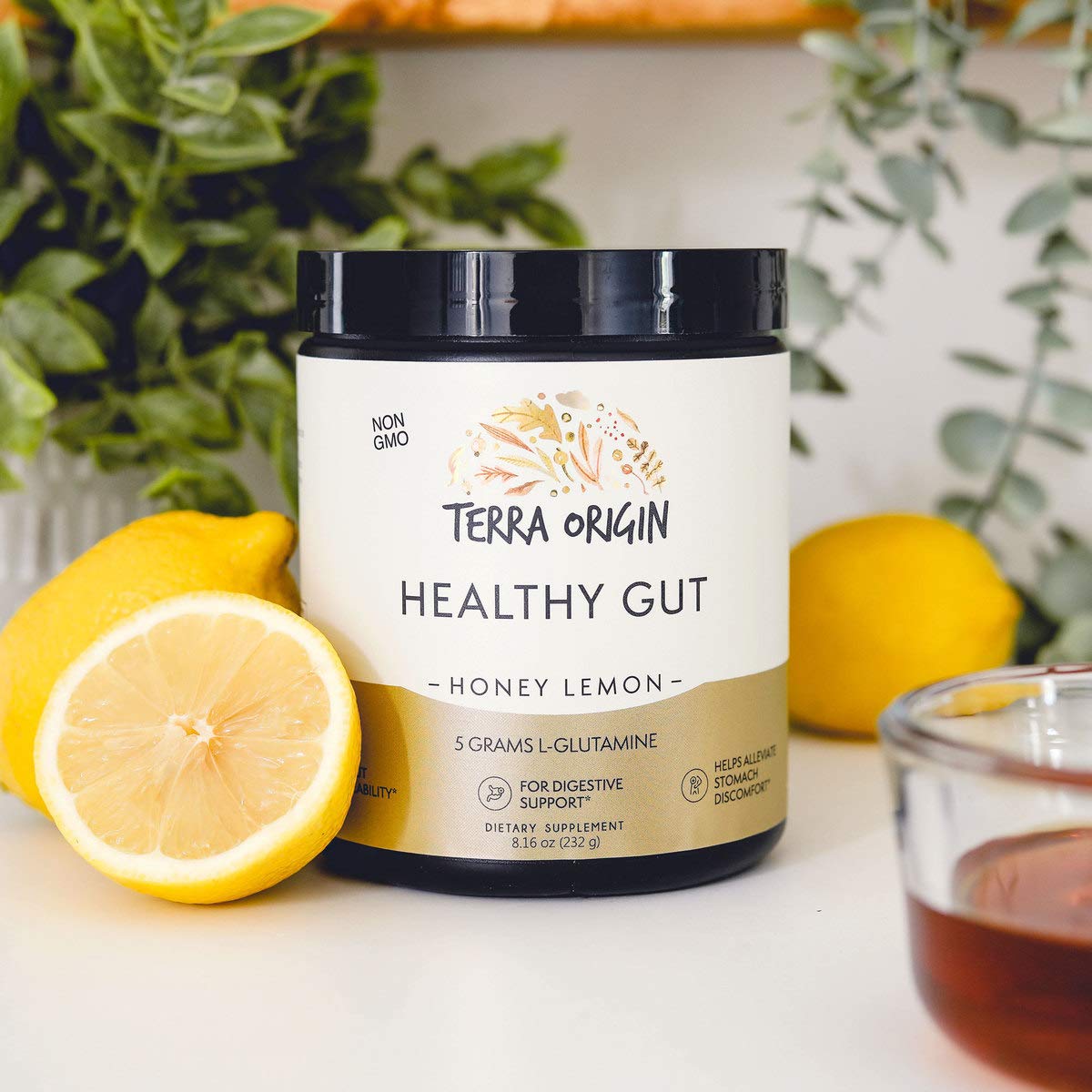 TERRA ORIGIN Healthy Gut Powder (Honey Lemon) | 30-Servings with L-Glutamine TERRA ORIGIN
