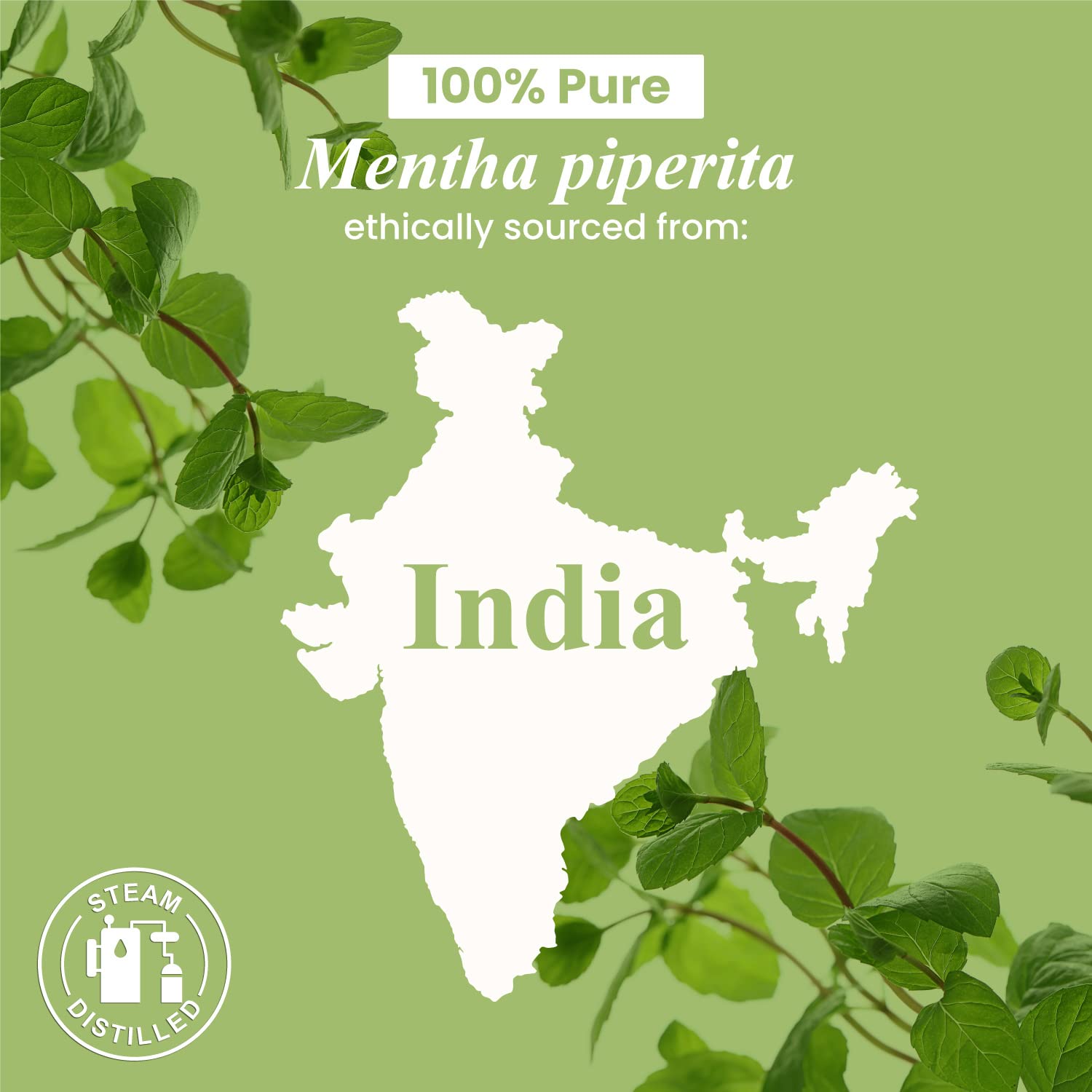 Handcraft Blends Peppermint Essential Oil - Huge 4 Fl Oz - 100% Pure and Natural - Premium Grade Handcraft Blends